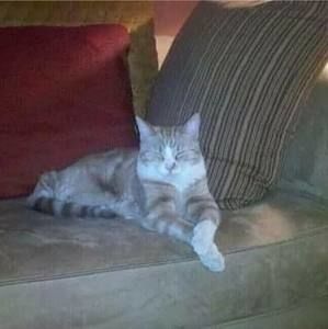 Meet your Posher, Margaret